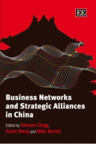 Kniha Business Networks and Strategic Alliances in China 