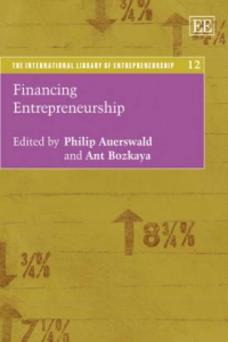 Könyv Financing Entrepreneurship 