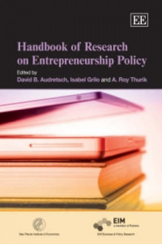 Kniha Handbook of Research on Entrepreneurship Policy 