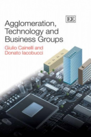 Kniha Agglomeration, Technology and Business Groups Giulio Cainelli