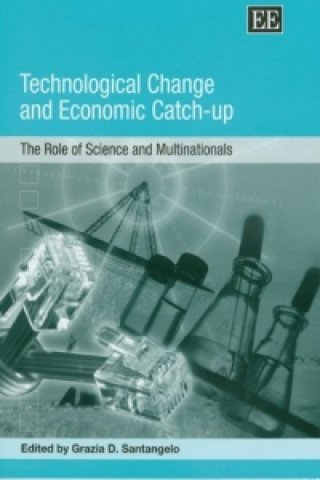 Könyv Technological Change and Economic Catch-up 