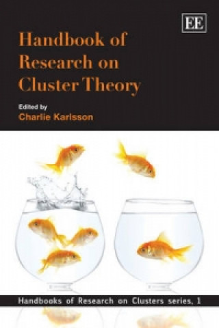 Kniha Handbook of Research on Cluster Theory 