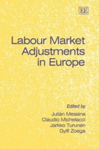Carte Labour Market Adjustments in Europe 