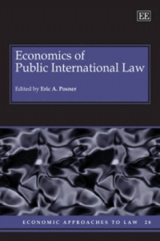 Książka Economics of Public International Law 