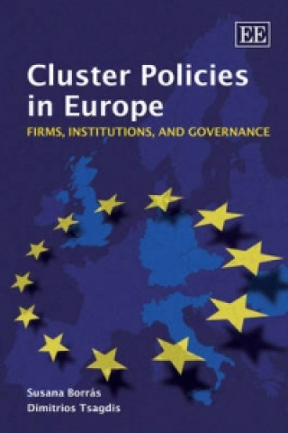 Kniha Cluster Policies in Europe Susana Borras