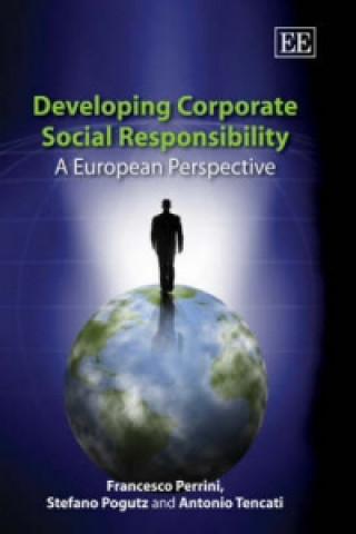 Könyv Developing Corporate Social Responsibility Francesco Perrini