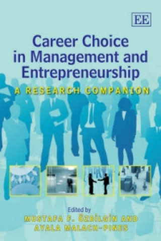 Könyv Career Choice in Management and Entrepreneurship - A Research Companion 