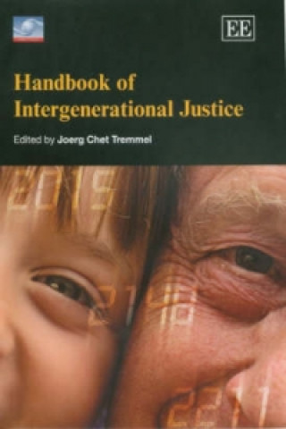 Carte Handbook of Intergenerational Justice 
