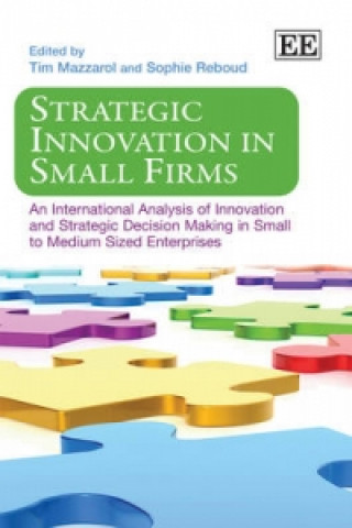 Kniha Strategic Innovation in Small Firms 