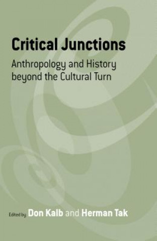 Kniha Critical Junctions Don Kalb