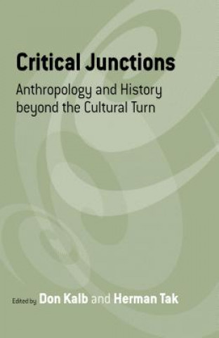 Book Critical Junctions 