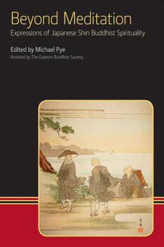 Knjiga Beyond Meditation Michael Pye