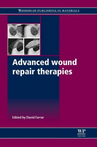 Kniha Advanced Wound Repair Therapies David Farrar
