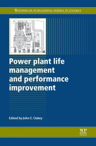Carte Power Plant Life Management and Performance Improvement John E. Oakey