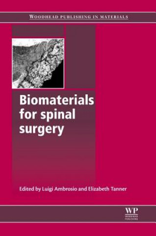 Kniha Biomaterials for Spinal Surgery Luigi Ambrosio