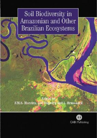 Kniha Soil Biodiversity in Amazonian and Other Brazilian Ecosystems 