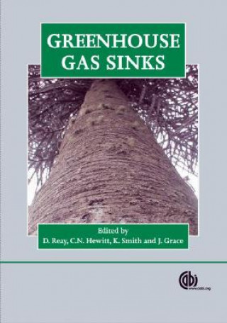 Book Greenhouse Gas Sinks Nick Hewitt