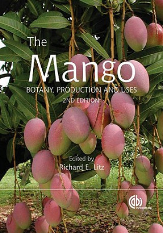 Buch Mango Richard E. Litz