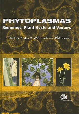 Książka Phytoplasmas Phyllis G. Weintraub