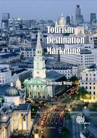 Knjiga Tourism Destination Marketing Y. Wang