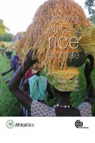 Könyv Realizing Africa's Rice Promise Marcos C. S. Wopereis