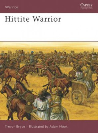Kniha Hittite Warrior Trevor Bryce