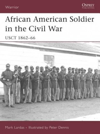 Könyv African American Soldier in the Civil War Mark Lardas
