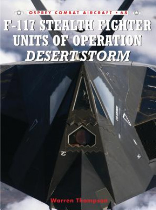 Carte F-117 Stealth Fighter Units of Operation Desert Storm Warren Thompson