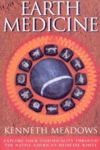 Kniha Earth Medicine Kenneth Meadows