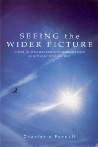 Book Seeing The Wider Picture Charlotte Parnell