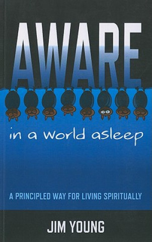 Libro Aware in a World Asleep Jim Young