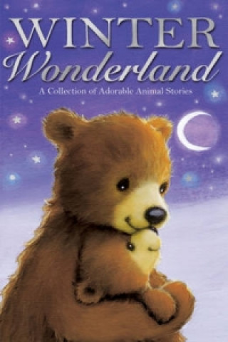 Kniha Winter Wonderland Various Authors