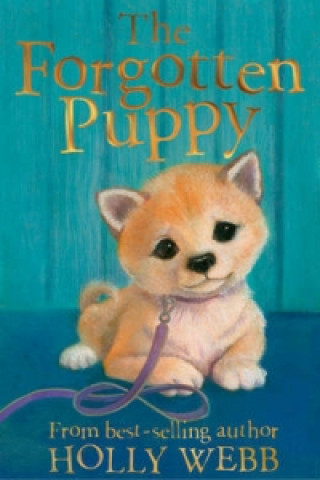 Kniha Forgotten Puppy Holly Webb
