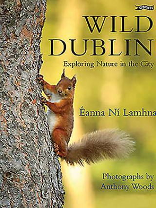 Kniha Wild Dublin Eanna Ni Lamhna