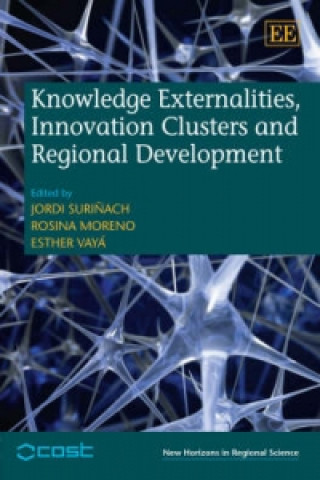 Книга Knowledge Externalities, Innovation Clusters and Regional Development 