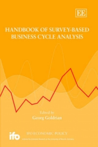 Kniha Handbook of Survey-Based Business Cycle Analysis 