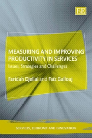 Könyv Measuring and Improving Productivity in Services - Issues, Strategies and Challenges Faridah Djellal