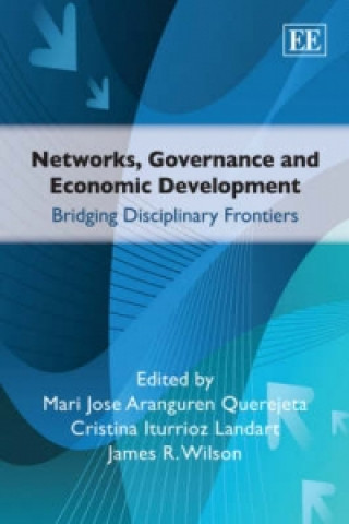 Buch Networks, Governance and Economic Development 