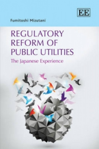 Könyv Regulatory Reform of Public Utilities Fumitoshi Mizutani