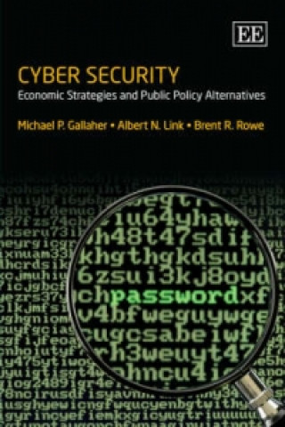 Kniha Cyber Security Michael P. Gallaher