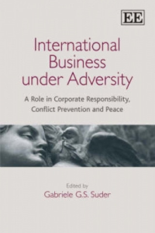 Kniha International Business under Adversity 