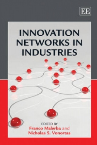 Kniha Innovation Networks in Industries 