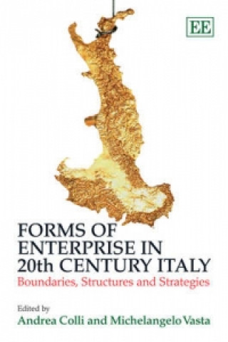 Kniha Forms of Enterprise in 20th Century Italy 