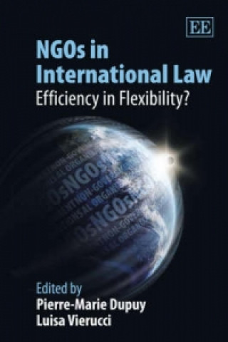 Könyv NGOs in International Law - Efficiency in Flexibility? 