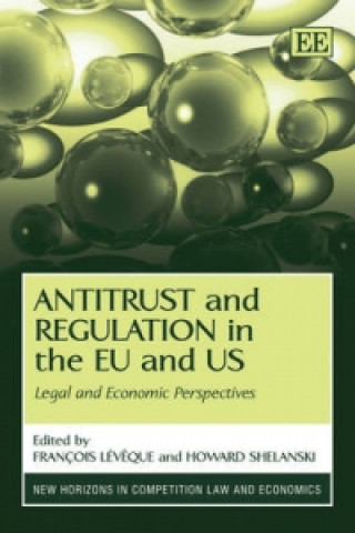 Könyv Antitrust and Regulation in the EU and US 