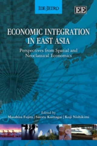 Könyv Economic Integration in East Asia 