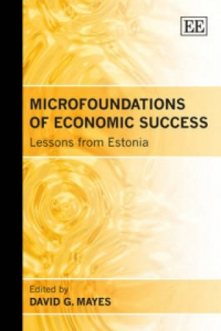 Könyv Microfoundations of Economic Success 