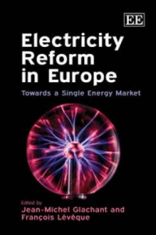 Książka Electricity Reform in Europe - Towards a Single Energy Market 