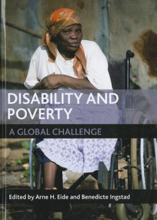 Kniha Disability and poverty 