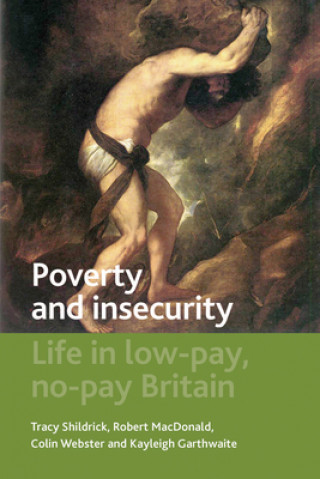 Kniha Poverty and Insecurity Robert MacDonald